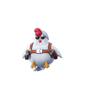 Cool Chick
