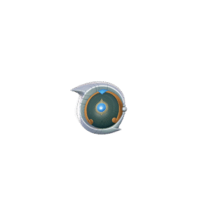 Destined Aegis