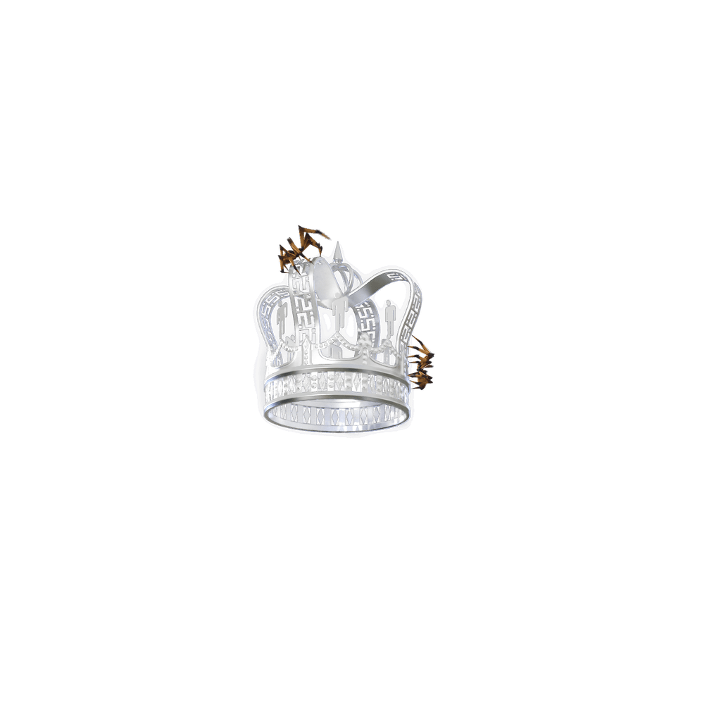 Billie’s Crown