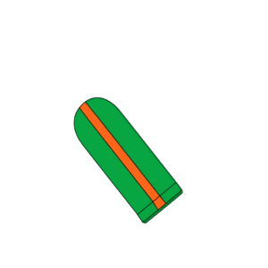 Bart’s Skateboard