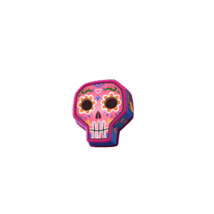 Calavera Case