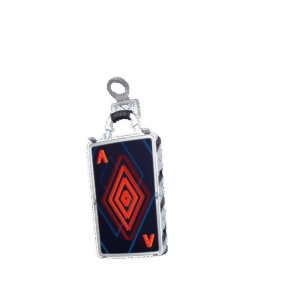 Card Case