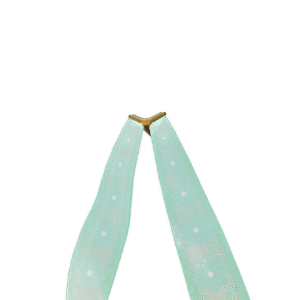 Aaliyah’s Cape
