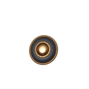 Agamemnon’s Shield