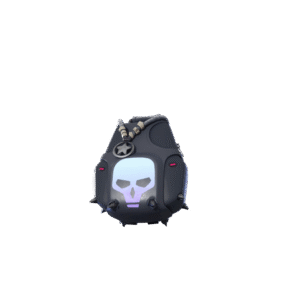 Expert’s Bonebag