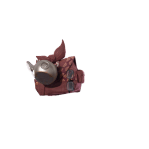 Splinter’s Pack