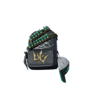 Vik’s Street Bag