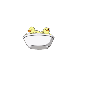 BABY DUCKS