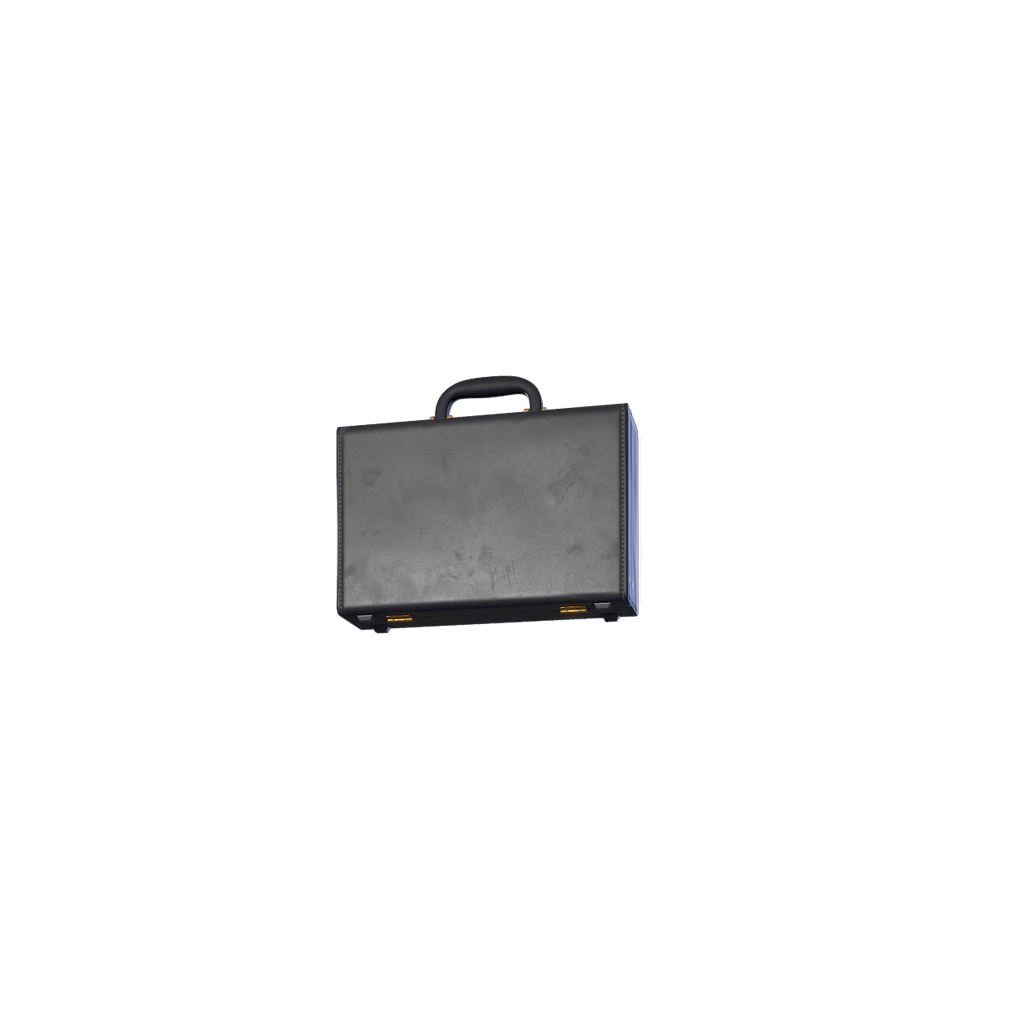 The Briefcase