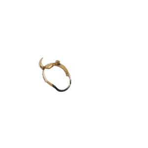 Sylvie’s Crown