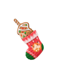 Chockablock Cookie Sock