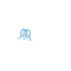 Woodsprite