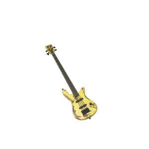 Robert’s Warwick M72 Bass