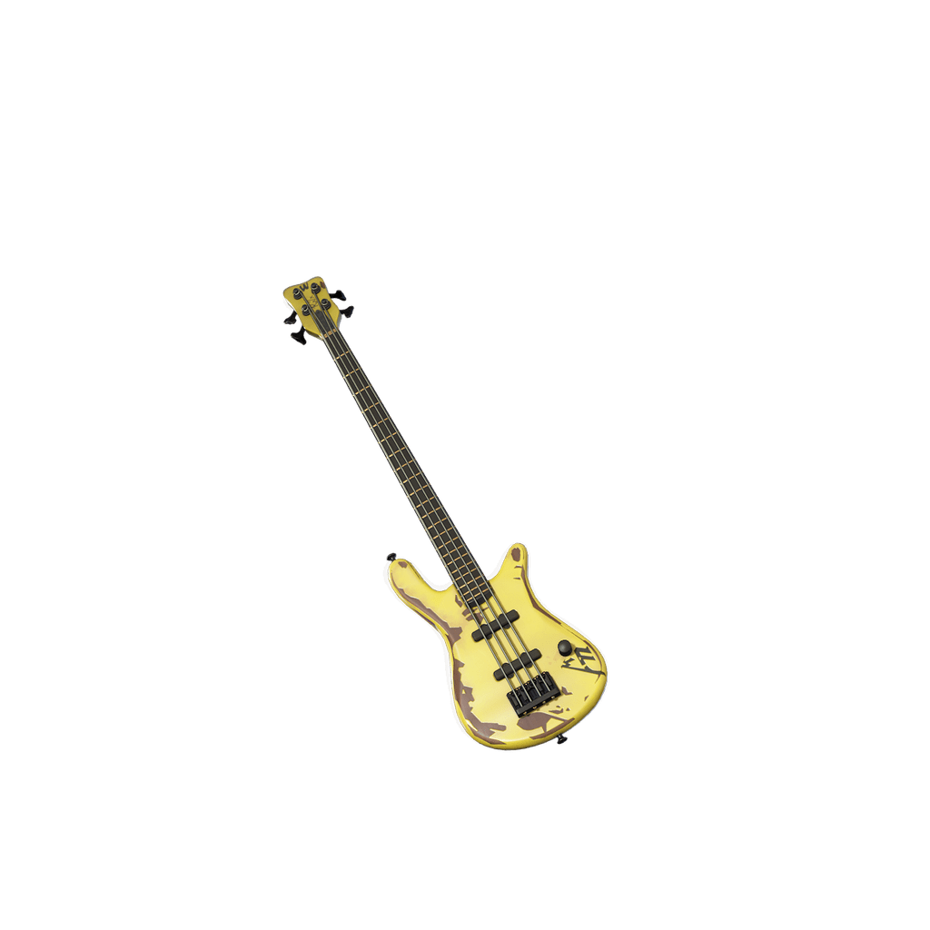Robert’s Warwick M72 Bass