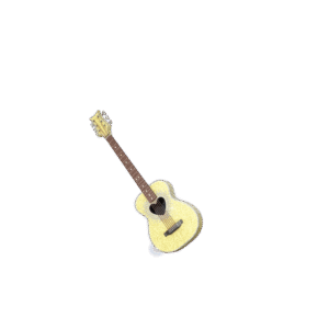 SC Guitar