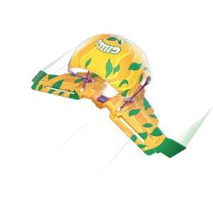 Chillest Vibe Rider