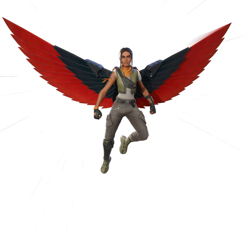 Red Robin’s Wings