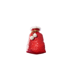 Winterfest Sack