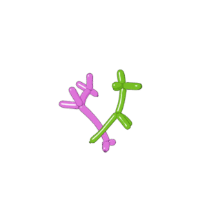 Balloon Animals