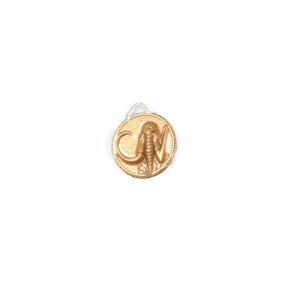 Mastodon Coin