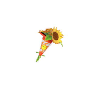 Soleil’s Bouquet
