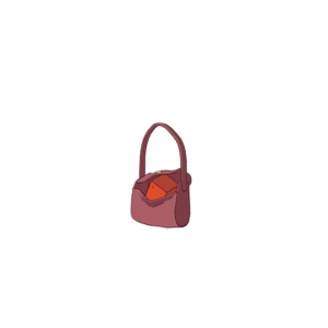 Francine’s Purse