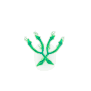 Final Wishbones