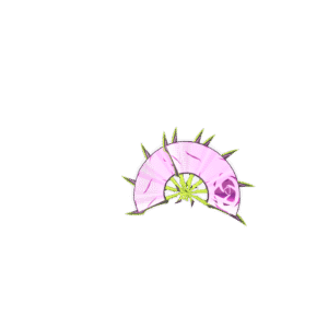 Radiant Thorns