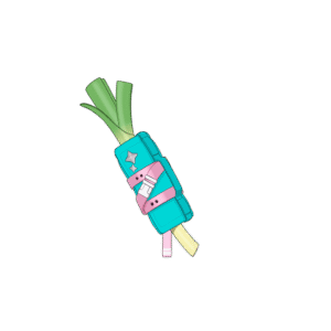 Leek-to-Go
