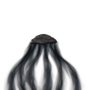 Shadow Shroud