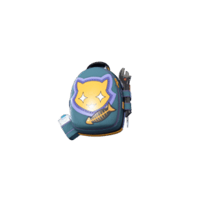 Cate’s Handysack