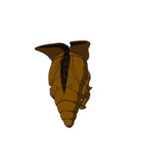 Cell’s Shell
