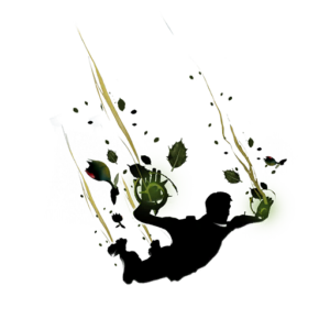 Vines