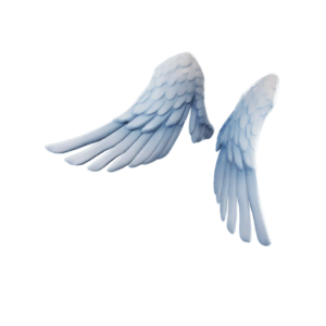 Ark Wings