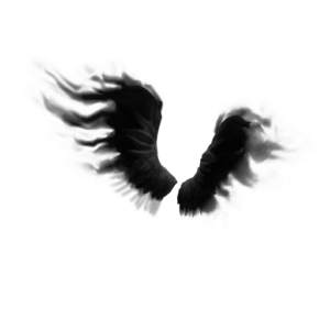 Shadow Wings