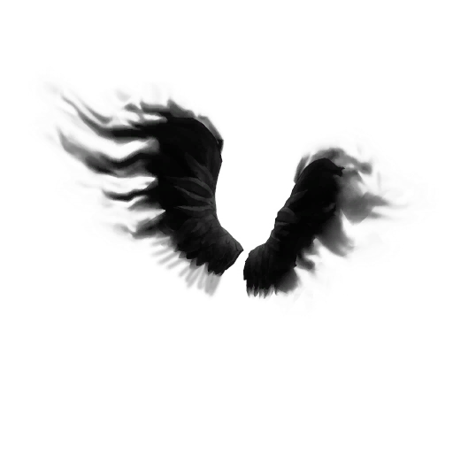Shadow Wings