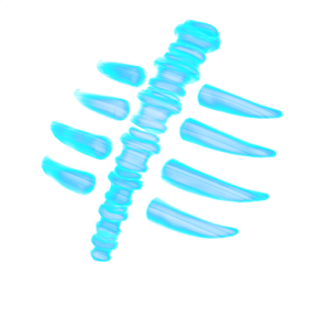 Spectral Spine