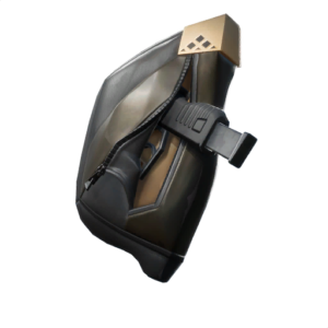 Gun Bag