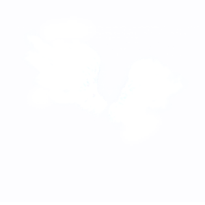 Perfect Wings