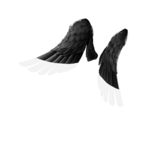 Shadow Ark Wings