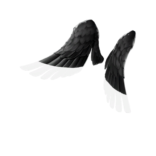 Shadow Ark Wings