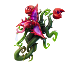 Back Bloom