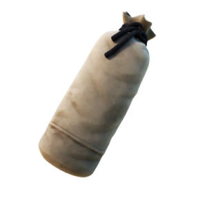 Training Bag