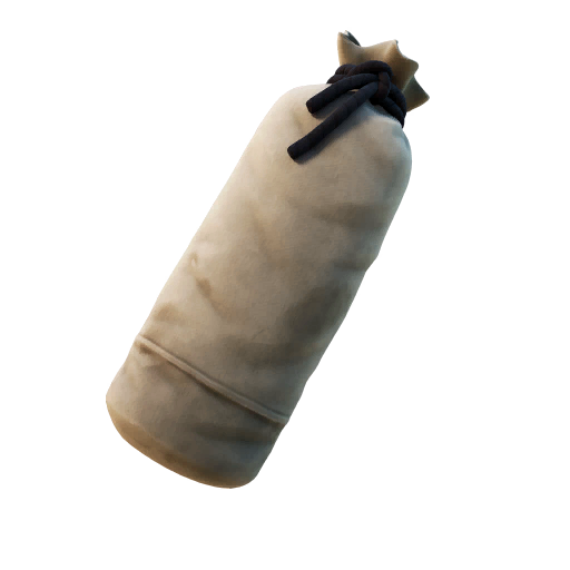 Training Bag