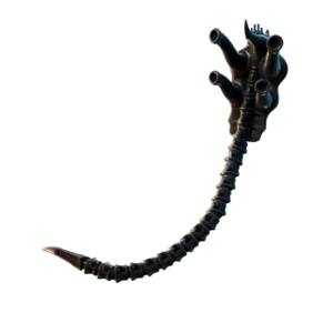 Xenomorph Tail
