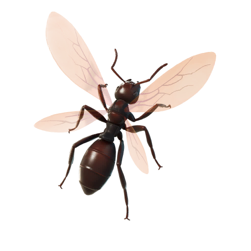 Ant-Tonio