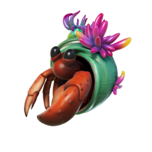 Shelly