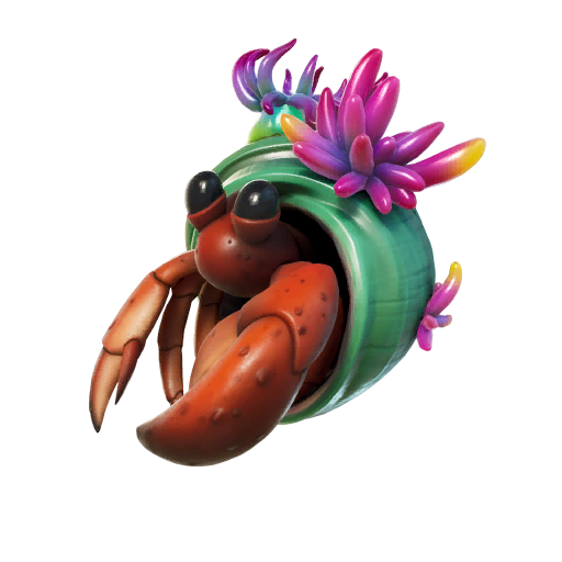 Shelly