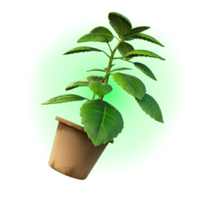 Green Herb