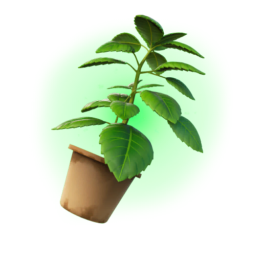 Green Herb